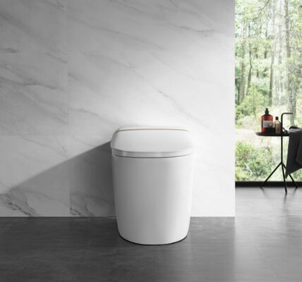 Arrow Modern Smart Toilet with Siphon Jet Flushing One Piece Structure and Self-cleaning Smooth Glazed Ceramic