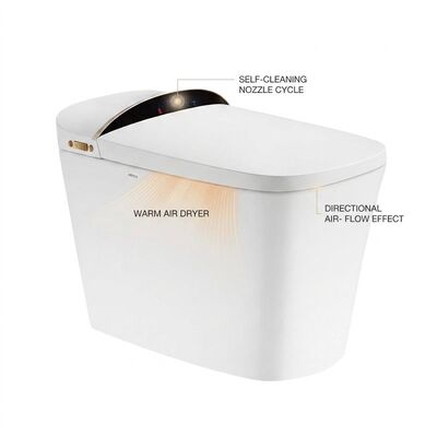 ARROW AT5006 Professional Smart Toilet 3-Level Seat Heating Self-cleaning Nozzle Warm Air Dryer Commercial Grade