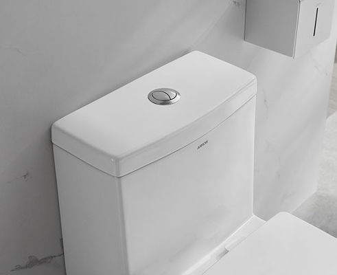 One Piece Ceramic Toilet Set 685×370×725mm Siphonic Flushing