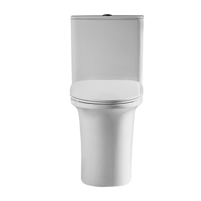 Washdown Two Piece Ceramic Toilet 654*398*810mm For Bathroom