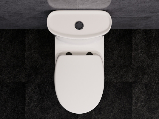 ARROW Washdown 1 One Piece Round Toilet Dual Flush Comfort Height