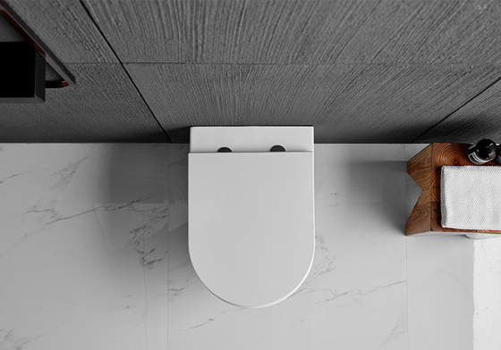 Watermark Wall Hung Toilet 530x364x345mm Portable Lavatory Sanitary Ware Bathroom