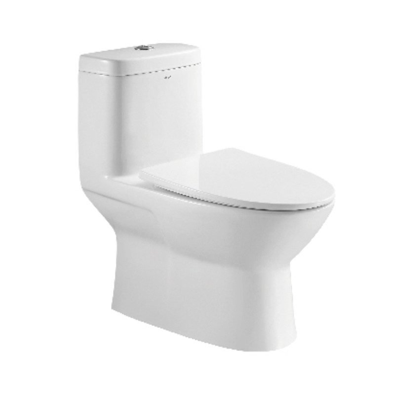 5L Single Piece Commode White Dual Flush Elongated Standard Height